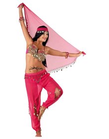 Αποκριατικη Στολη Ενηλίκων Αραβική Νύχτα Φούξια Με Μαντήλι - 71318 Clown Republic Αποκριάτικες Στολές Γυναικείες