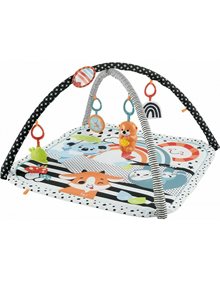 Fisher Price Μουσικο Γυμναστηριο 3 Σε 1 - HBP41 Fisher Price Βρεφικά Γυμναστήρια