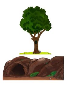 Σκηνικά Θεάτρου Σκιών Δέντρο & Σπηλιά - 151 Καλαντζής Κουκλοθέατρο