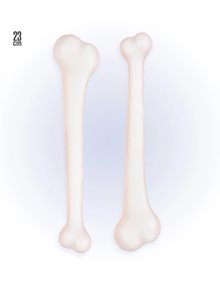 Αποκριάτικo Αξεσουάρ Σετ 2 Κόκκαλα 23cm - 2314M Widmann Κοσμήματα | Αξεσουάρ