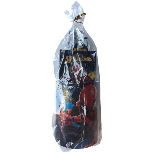 Παιδικο Σετ Μολυβοθηκης Spiderman - 337-04884