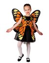 Αποκριάτικη Παιδική Στολή Orange Butterfly - 1008