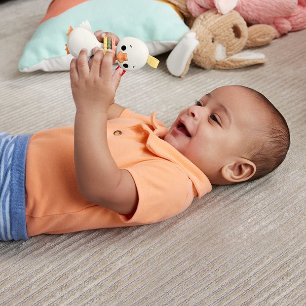 Fisher Price Sensimals Ζωάκια - Clack & Quack Goose - HRB22