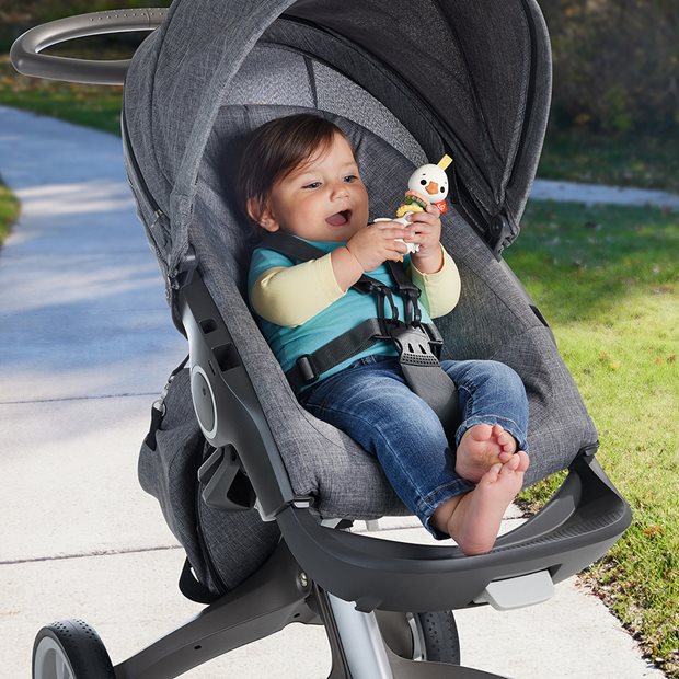 Fisher Price Sensimals Ζωάκια - Clack & Quack Goose - HRB22