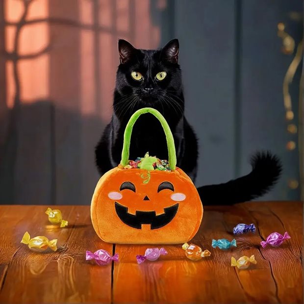 Τσαντάκι Γλυκών Legami Treat Or Trick Κολοκύθα - HCB0001
