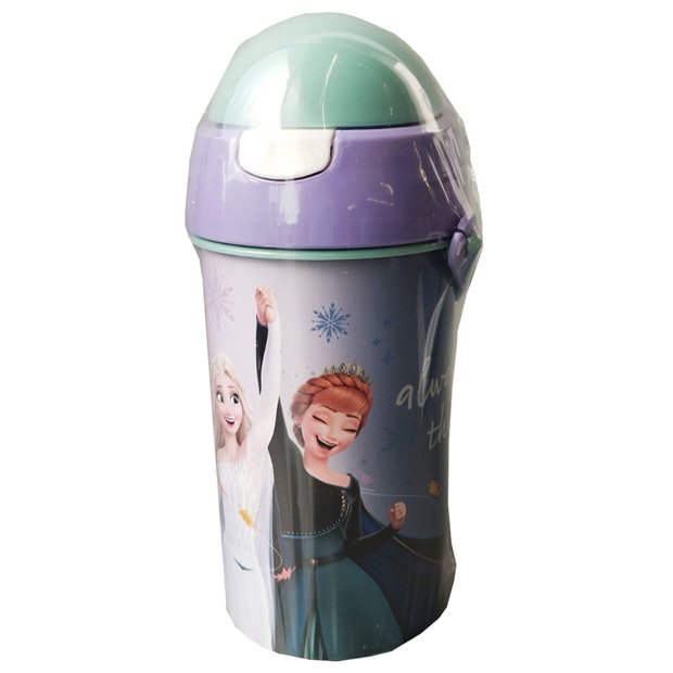 Παιδικό Παγούρι FD Frozen 500ml | Gim - 551-45209